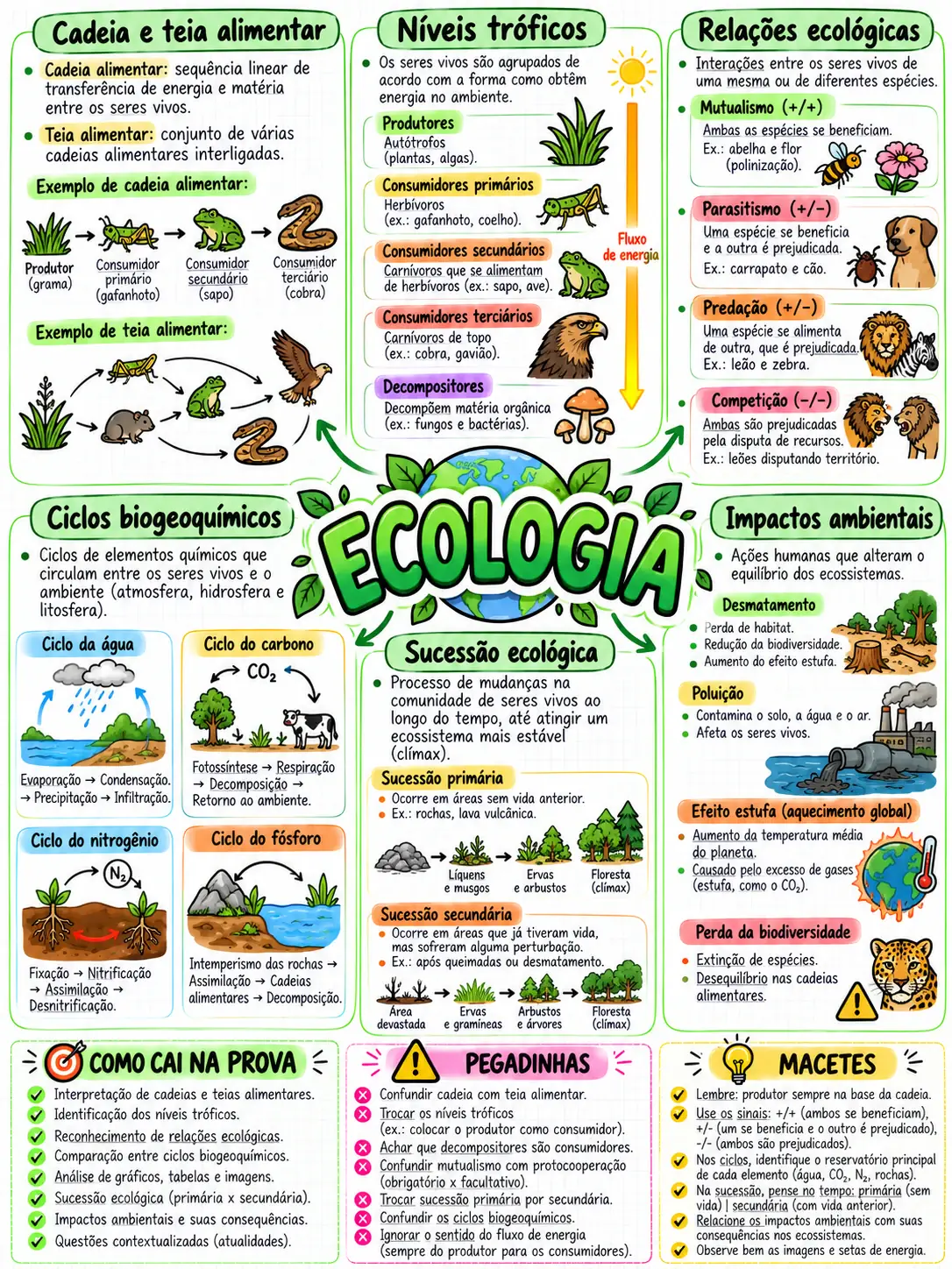 Mapa mental de Ecologia